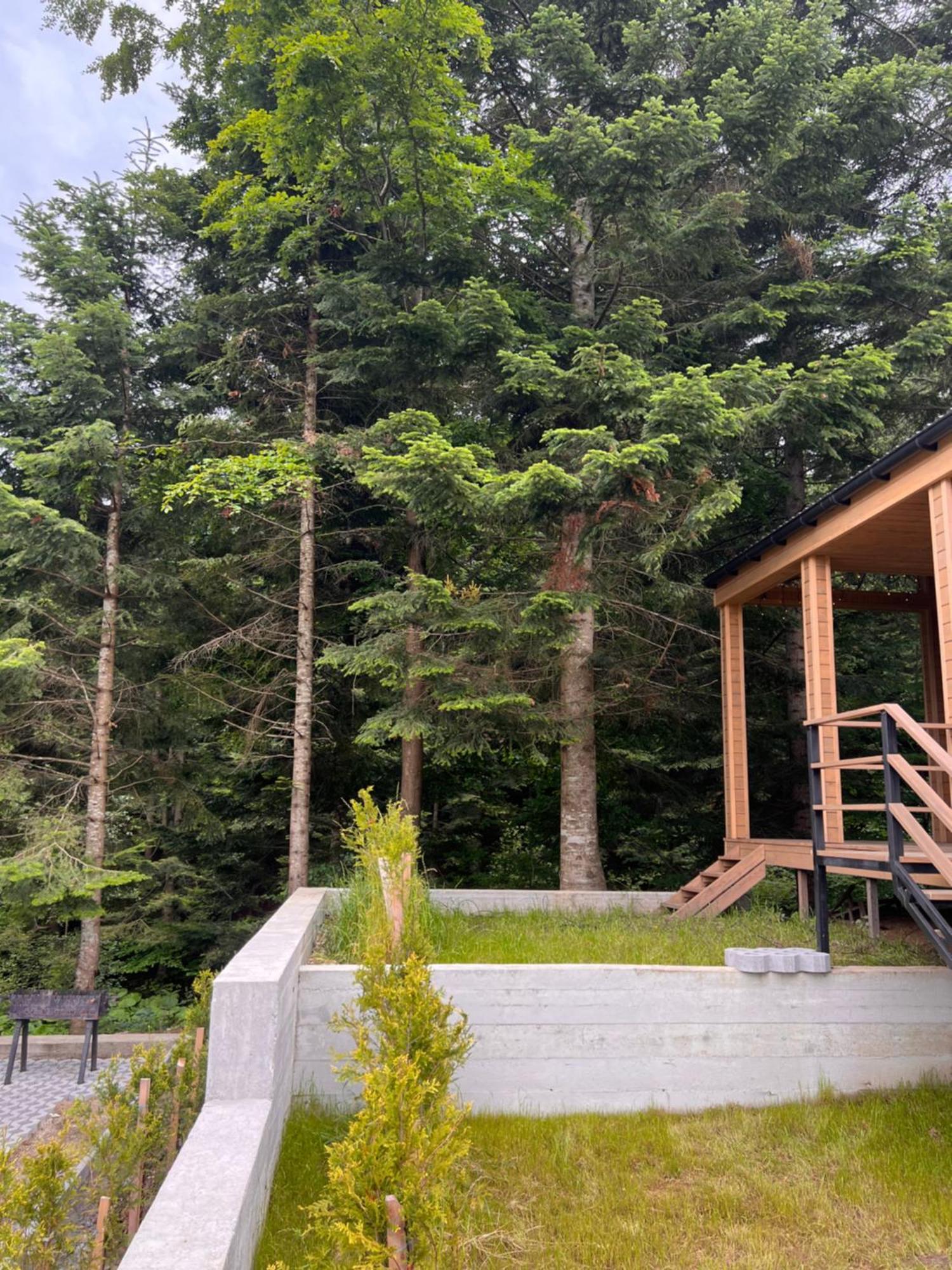 Парк-Готель Щастя Skhidnytsia 외부 사진